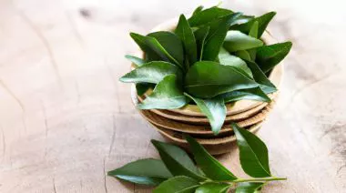 garnishing-instructions-image